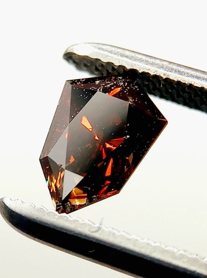 1 pcs Diamante  (Colorido natural)  - 0.64 ct - Papagaio de papel - Fancy dark Alaranjado Castanho - I1 - Gemological Institute of America (GIA) #1.1