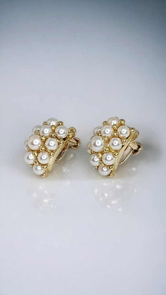 Earrings - 18 kt. Yellow gold Pearl  #1.2