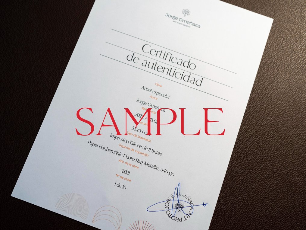 Jorge Omeñaca - Iris palms #4.3