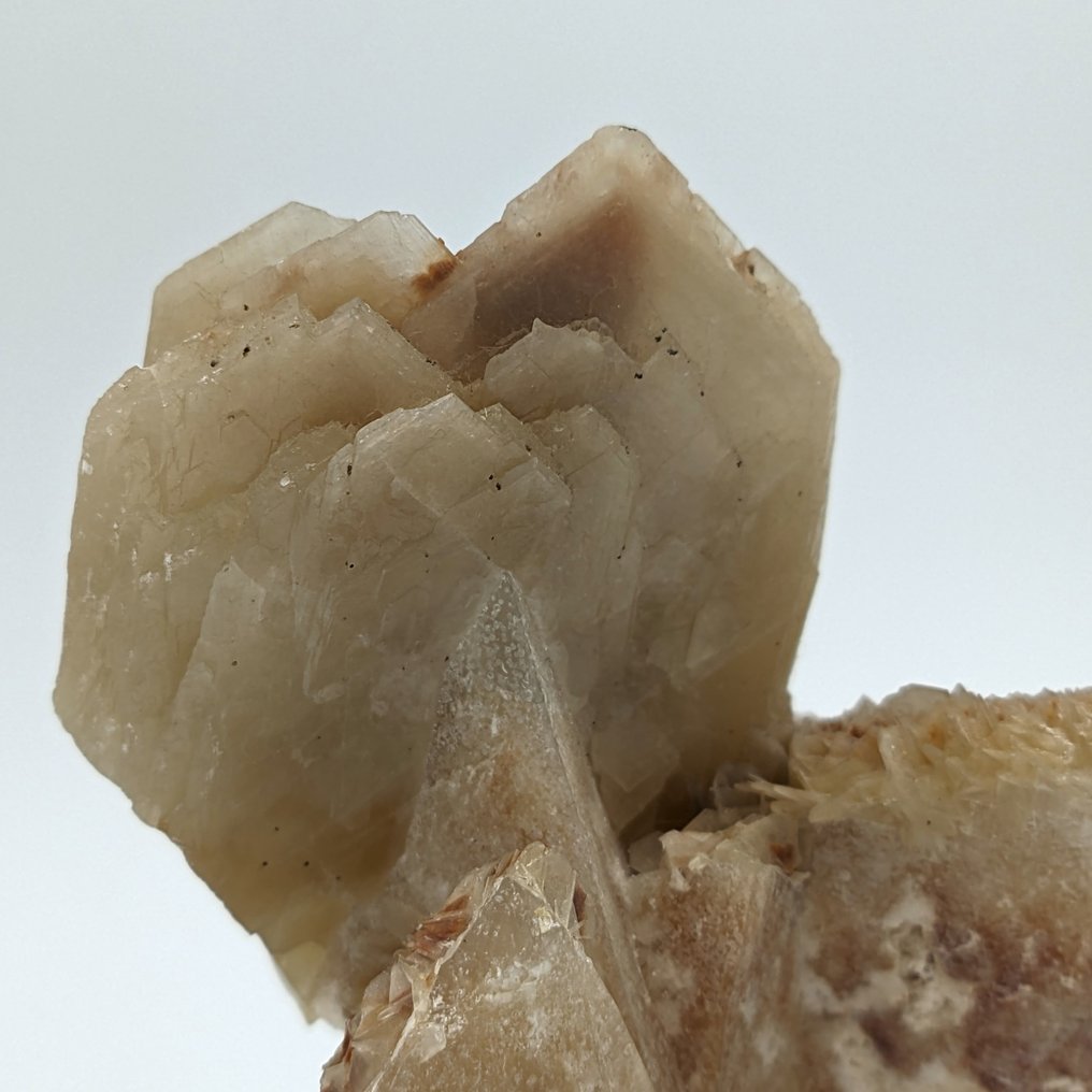 CALCIETBLOEM, UV-gevoelig Kristalen - Hoogte: 105 mm - Breedte: 87 mm- 435.12 g #1.2