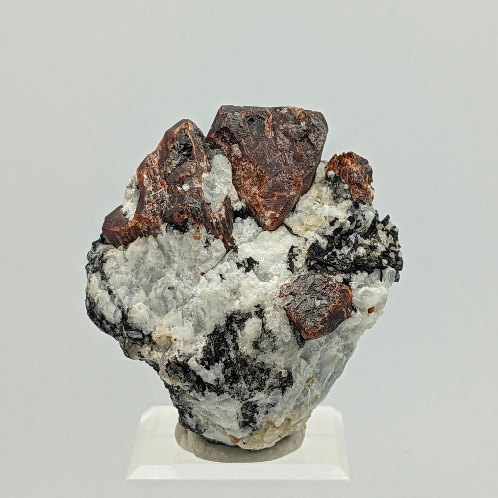 巨大的天然红锆石，极为罕见！ 水晶 - 高度: 87 mm - 宽度: 50 mm- 150.76 g #2.1