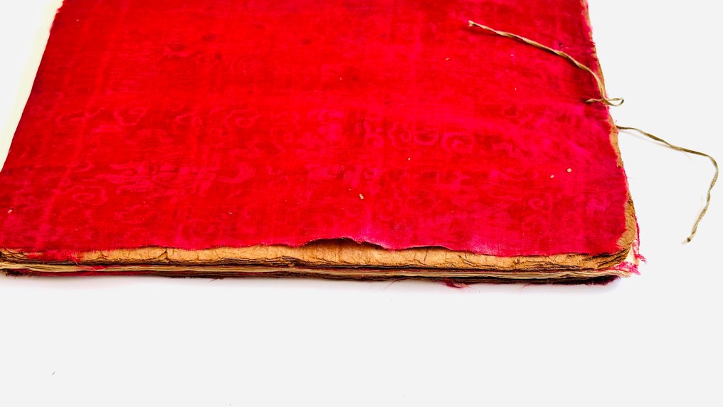 Cantón - Álbum de 12 pintores sobre papel de arroz - China - Dinastía Qing (1644-1911) #2.2
