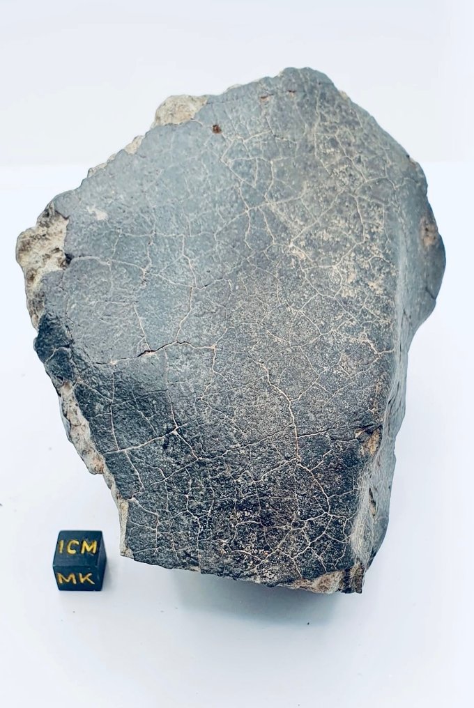 Nicht klassifizierter NWA-Meteorit Chondrit Meteorit - Höhe: 120 mm - Breite: 100 mm - 1102 g - (1) #2.1