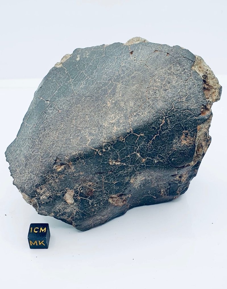 Nicht klassifizierter NWA-Meteorit Chondrit Meteorit - Höhe: 120 mm - Breite: 100 mm - 1102 g - (1) #1.2