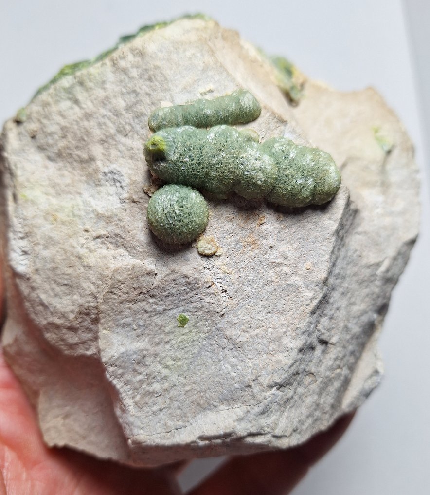 Βαβελλίτης Κρύσταλλοι στη μήτρα - Ύψος: 11 cm - Πλάτος: 11 cm- 805 g #1.1