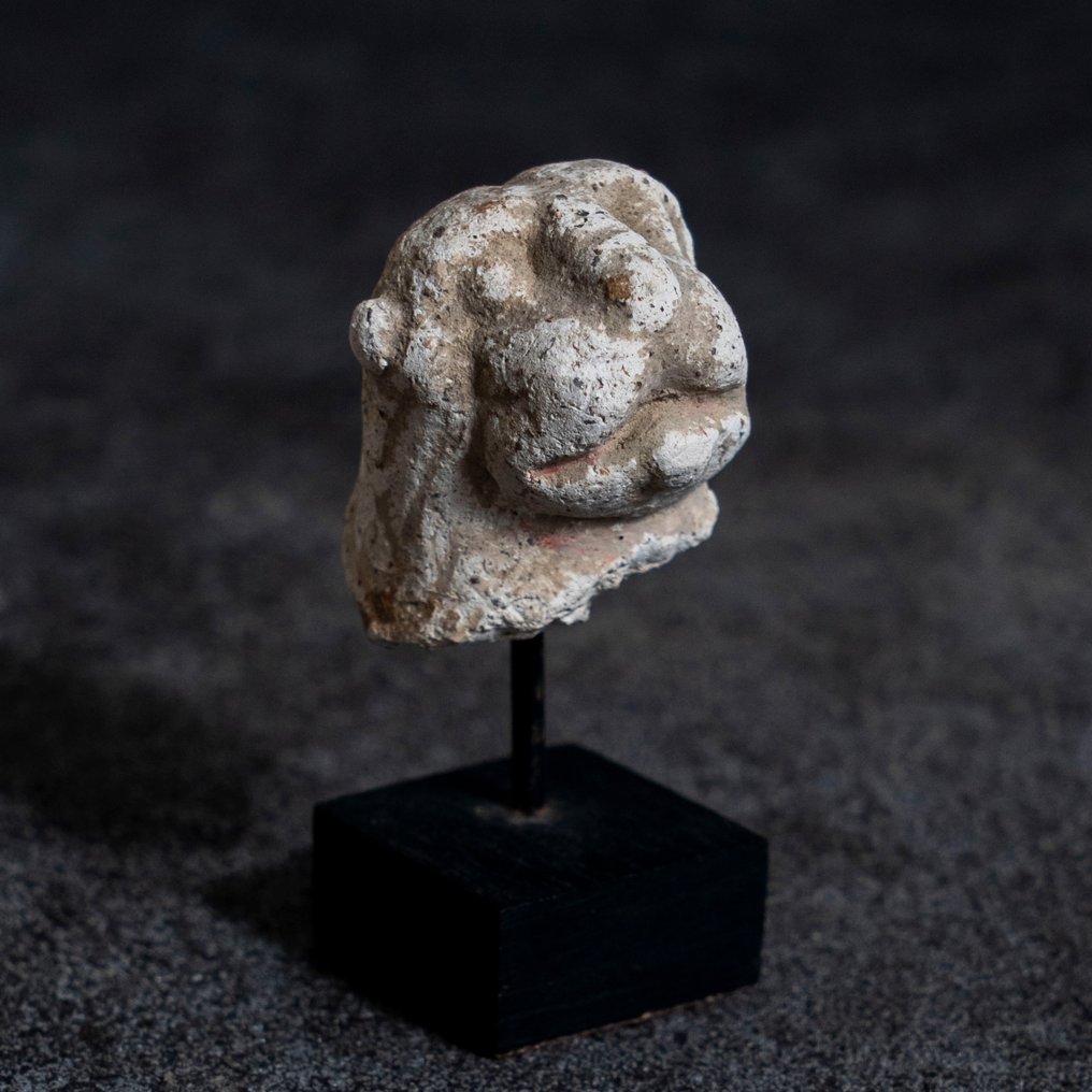 Gandhara Gips Løvehoved - 3.-5. århundrede e.Kr #1.2