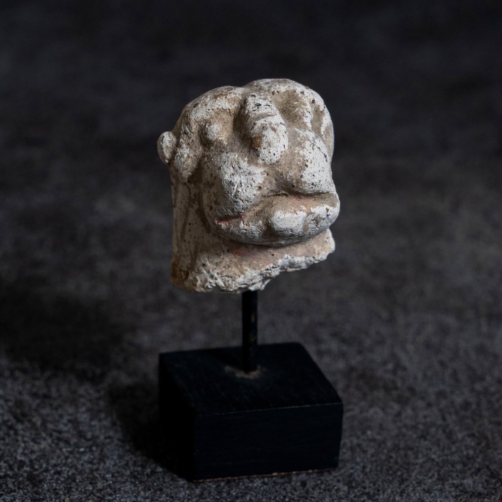 Gandhara Estuque Cabeça de Leão - Século III-V d.C. #1.1