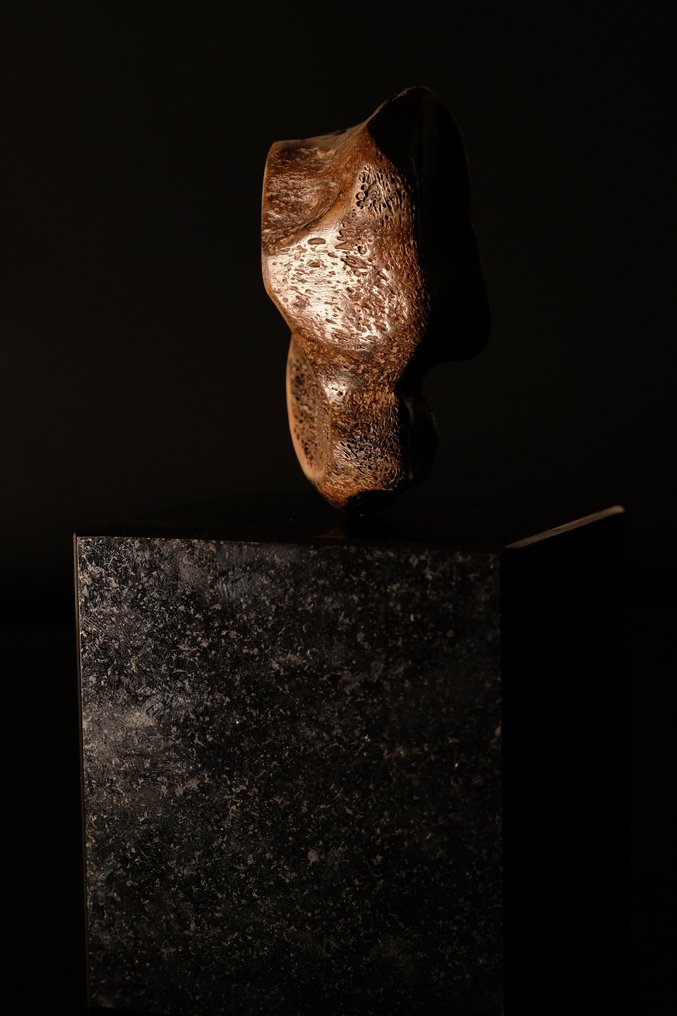 Mamifer - Os fosilă - 15 cm  (Fără preț de rezervă) #3.2