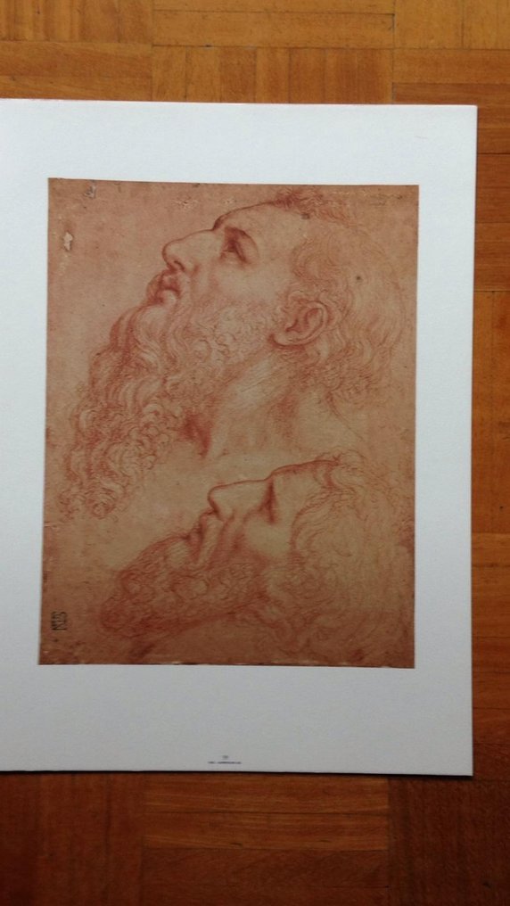 Leonardo Da Vinci - Disegni di Leonardo e della sua cerchia alla Biblioteca Ambrosiana di Milano - 1981 #2.1