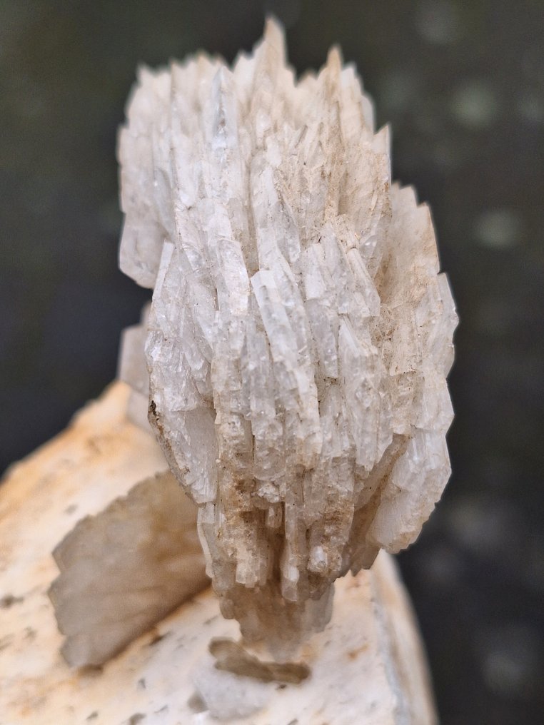 Albit-Varietät Cleavelandit Kristalle auf Muttergestein - Höhe: 22 cm - Breite: 12 cm- 1946 g #1.2