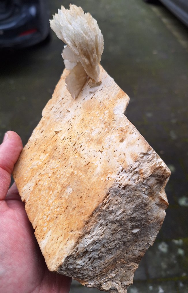 钠长石种类的斜长石 水晶矩晶体 - 高度: 22 cm - 宽度: 12 cm- 1946 g #1.1