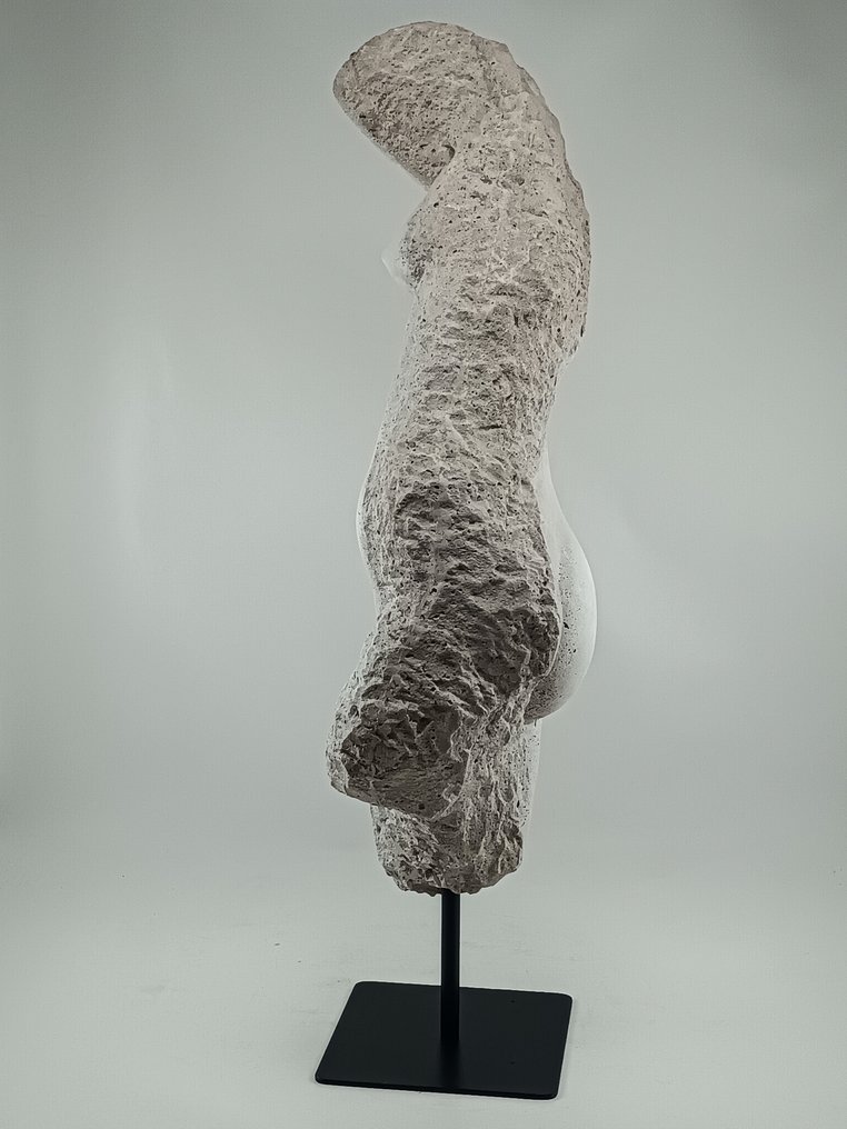 Figure - Fragment of a classical Greek sculpture representing Venus, made of plaster scagliola and powder. #4.3
