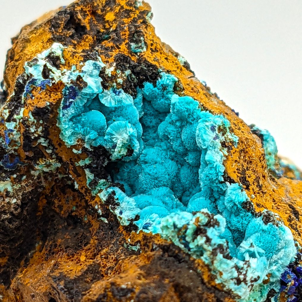 BLAUWE AURICALCITE en AZURITE, Sardinië, TOPKLEUR Kristallen op matrix - Hoogte: 51 mm - Breedte: 48 mm- 76.02 g #1.1
