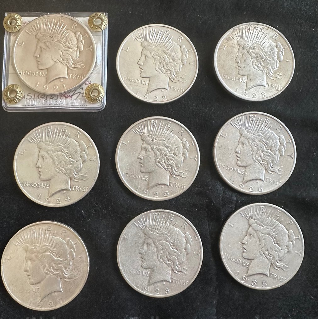 Verenigde Staten. A Collection of 9x Peace Dollars, including KEY DATES 1921 & 1928 1921/22/23/24/25/26/27/28/35 #1.2