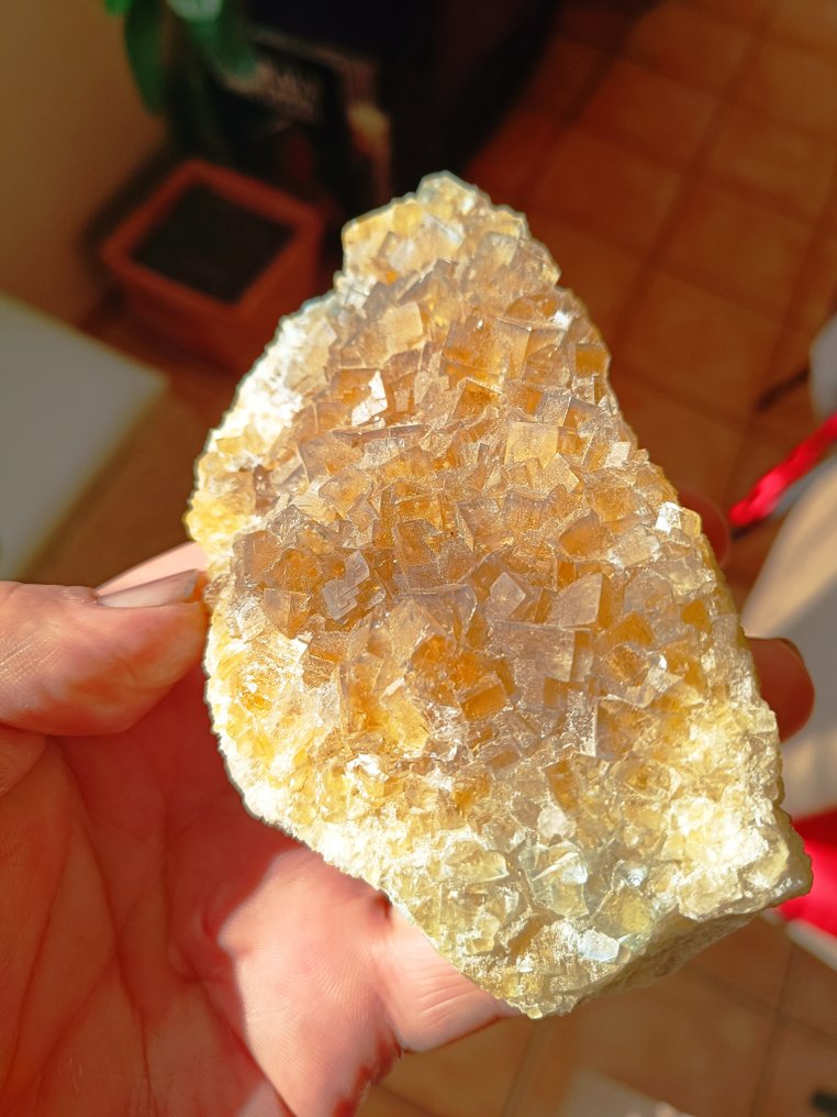 Fluorit aus Barre, Frankreich Kristalle auf Muttergestein - Höhe: 13 cm - Breite: 7 cm- 577 g - (1) #1.2