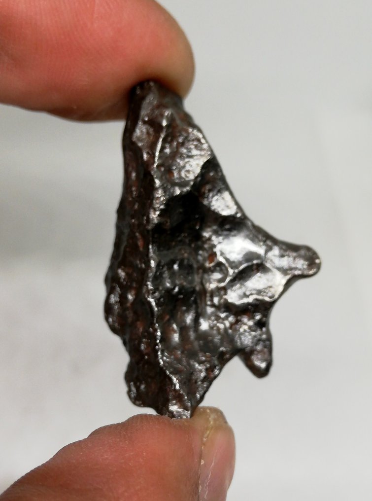 美麗的 Sikhote Alin，Regmaglypte，磁性標籤底座。 鐵隕石 - 33.45 g #2.1