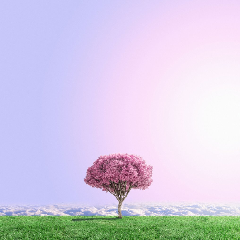 Téber - High Society · XL #1.0