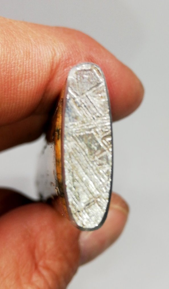 Cuchillo de colmillo de mamut, meteorito Muonionalusta y condrita. Meteorito de hierro - Altura: 17 cm - 44.83 g #3.2