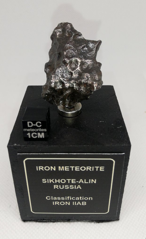Magnifique Sikhote Alin, Regmaglypte, socle label aimanté. Météorite de fer - 54.4 g #1.1