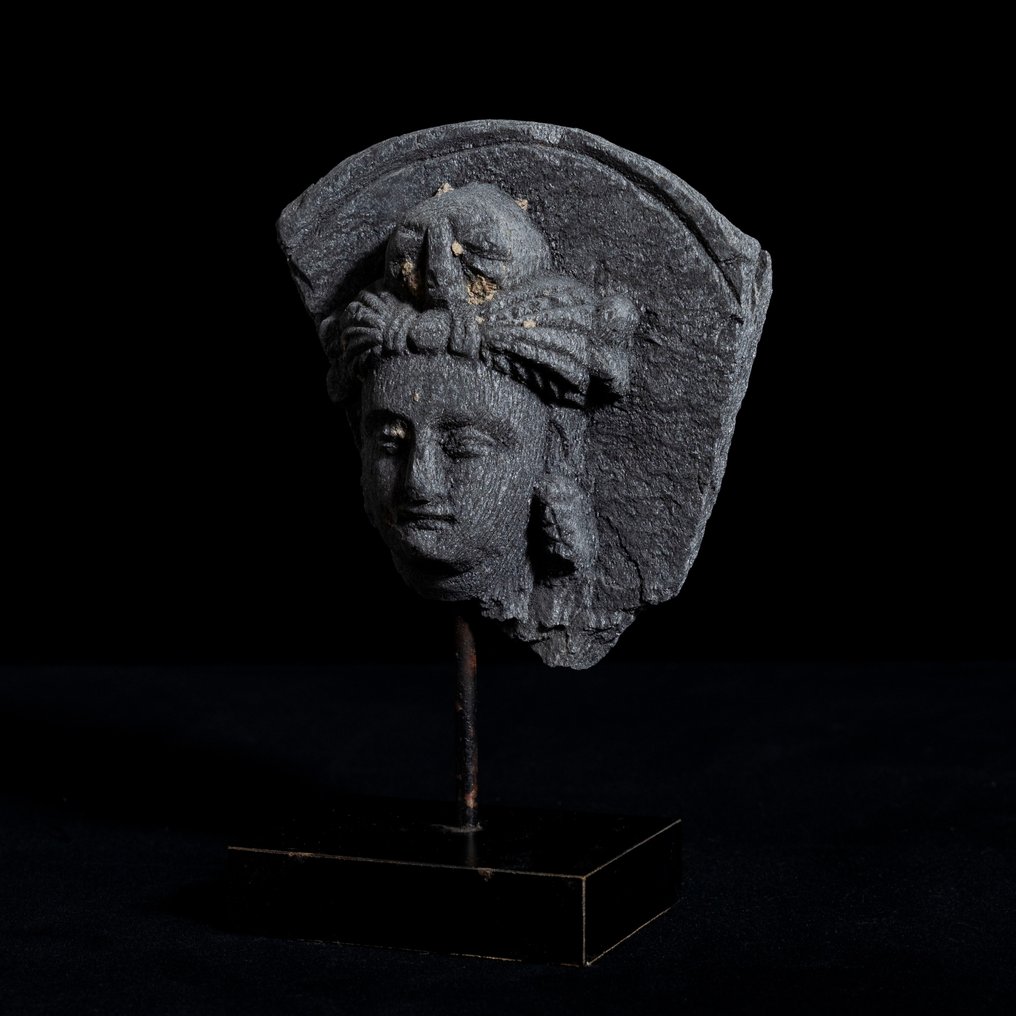 Gandhara Schist Head of Bodhisattva - 3rd-5th Century AD #2.1