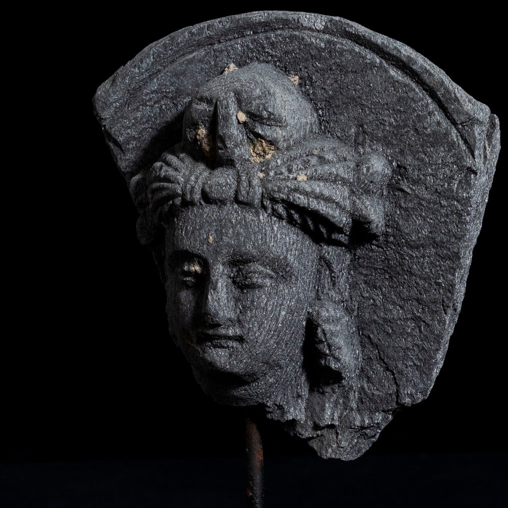 Gandhara Schist Hoofd van Bodhisattva - 3e-5e eeuw na Christus #1.1