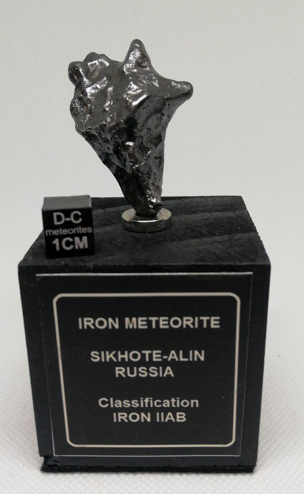 美麗的 Sikhote Alin，Regmaglypte，磁性標籤底座。 鐵隕石 - 33.45 g #1.2