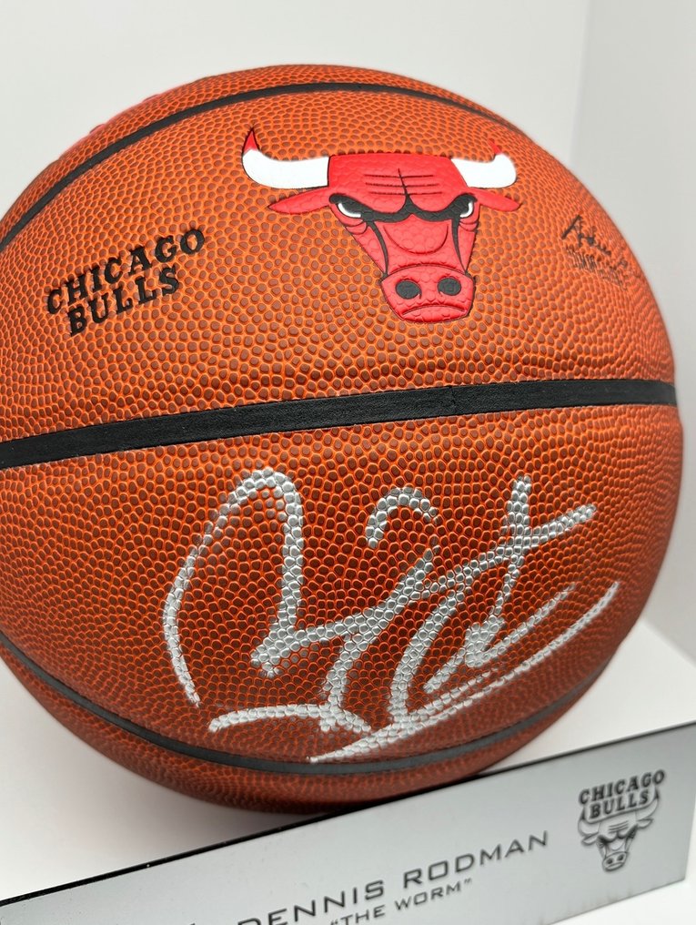 Chicago Bulls - NBA Basketbal - Dennis Rodman - Basketbal #2.1