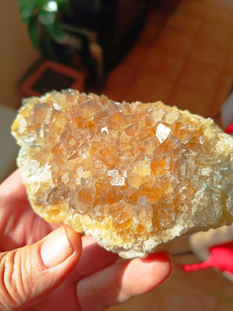 Fluorit aus Barre, Frankreich Kristalle auf Muttergestein - Höhe: 13 cm - Breite: 7 cm- 577 g - (1) #2.1