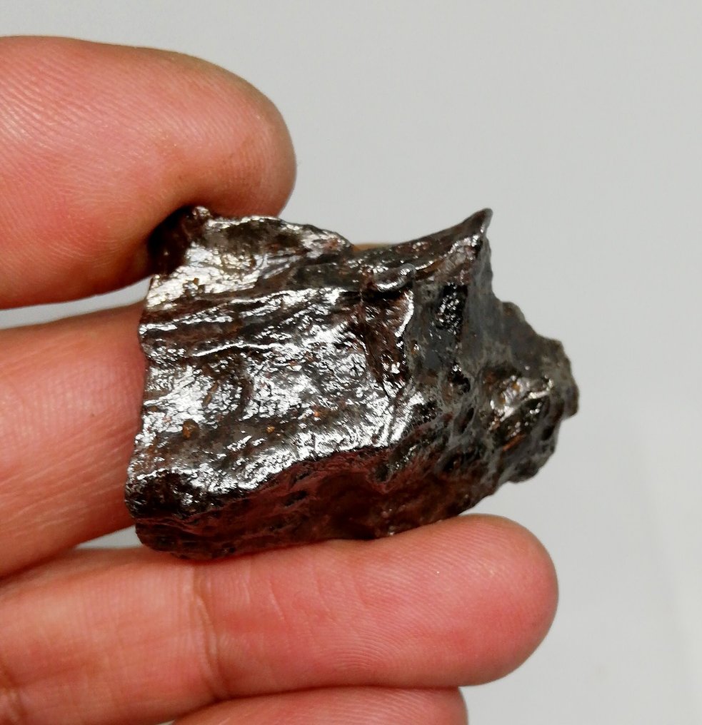 Magnificent Sikhote Alin, Regmaglypte, magnetic label base. Iron meteorite - 54.4 g #2.1