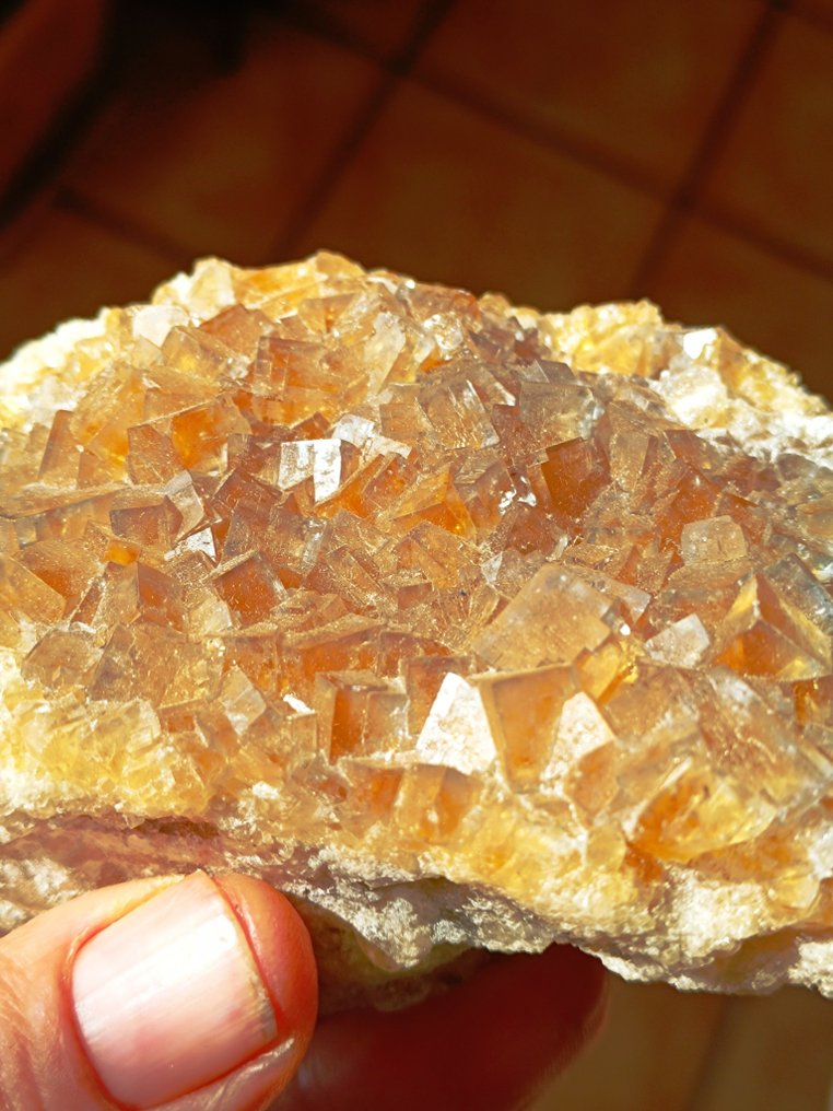 fluoryt z Barre France Kryształy na matrixie - Wysokość: 13 cm - Szerokość: 7 cm- 577 g - (1) #1.1