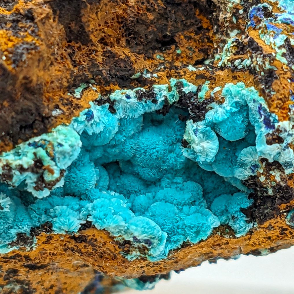 BLAUWE AURICALCITE en AZURITE, Sardinië, TOPKLEUR Kristallen op matrix - Hoogte: 51 mm - Breedte: 48 mm- 76.02 g #2.1