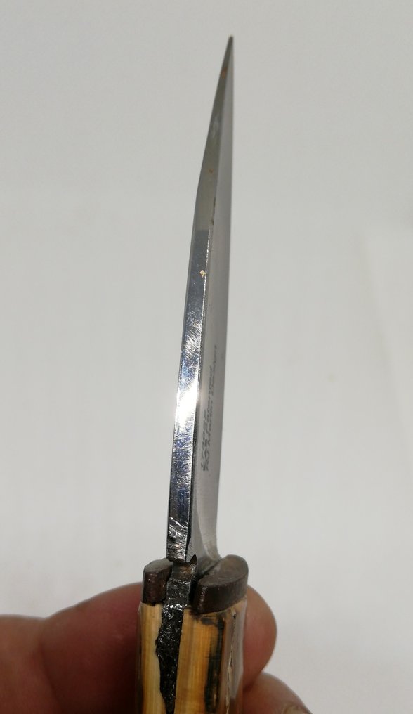 Mammoth Tusk Knife, Muonionalusta Meteorite og Chondrite. Jernmeteorit - Højde: 17 cm - 44.83 g #3.1
