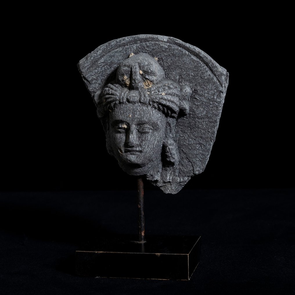 Gandhara Schist Hoofd van Bodhisattva - 3e-5e eeuw na Christus #1.2