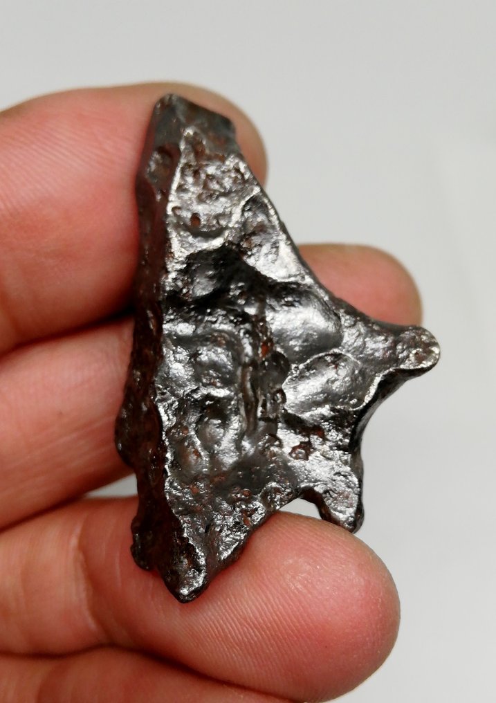 美丽的 Sikhote Alin，Regmaglypte，磁性标签底座。 铁陨石 - 33.45 g #1.1