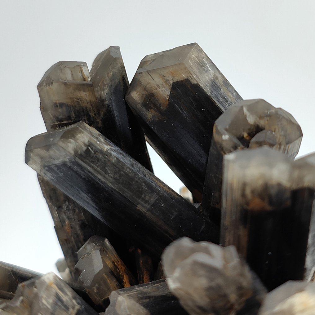Rare BLACK SELENITE, PIPE PLASTER Crystals - Height: 105 mm - Width: 83 mm- 210.12 g #1.2