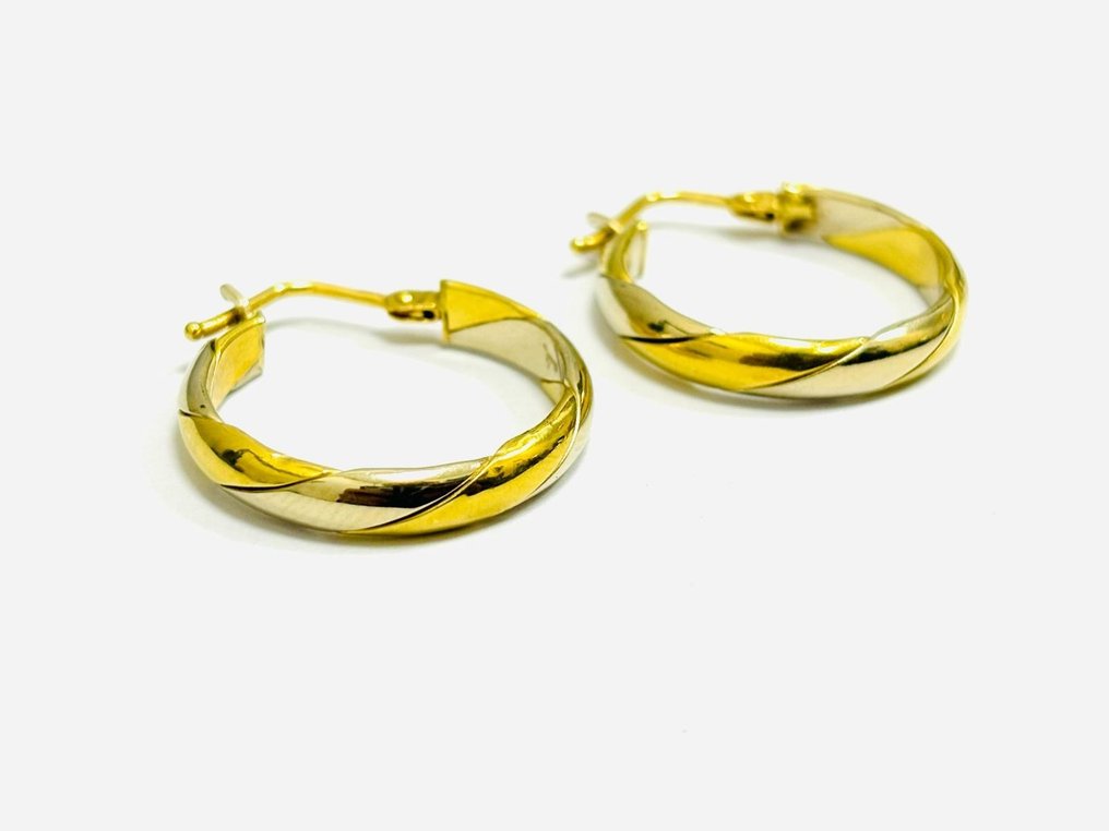 Earrings - 18 kt. White gold, Yellow gold #3.1