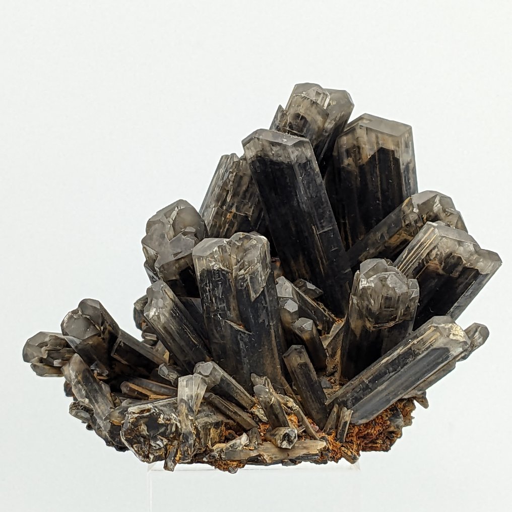 Rare BLACK SELENITE, PIPE PLASTER Crystals - Height: 105 mm - Width: 83 mm- 210.12 g #1.1