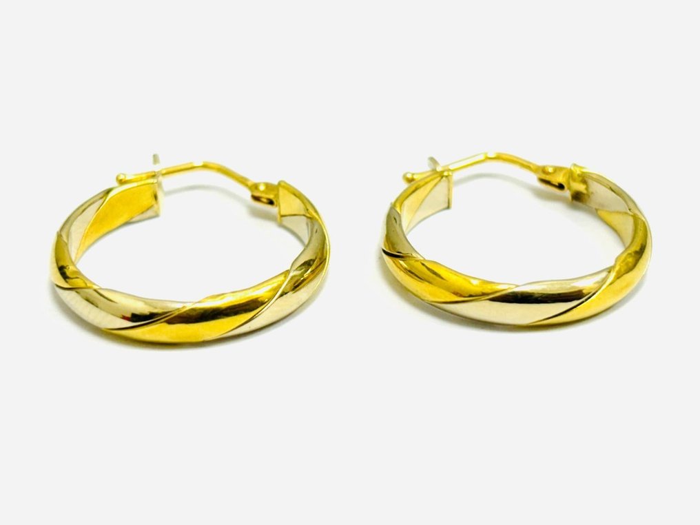 Earrings - 18 kt. White gold, Yellow gold #1.1