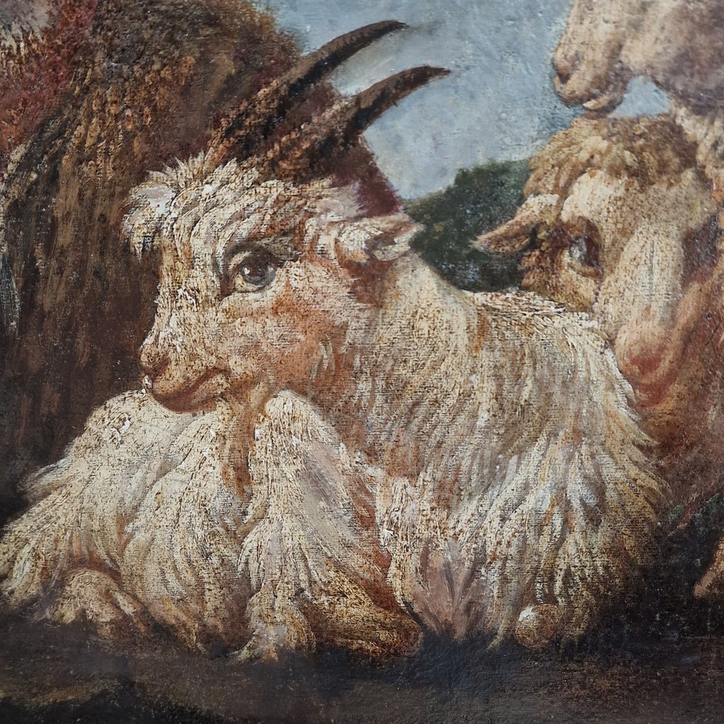 Scuola romana (XVII) - Pastore a riposo con pecore e capre #2.2