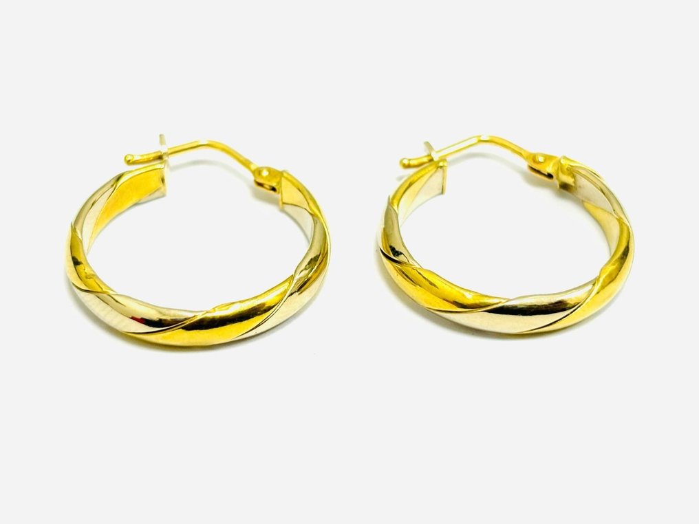 Earrings - 18 kt. White gold, Yellow gold #2.2