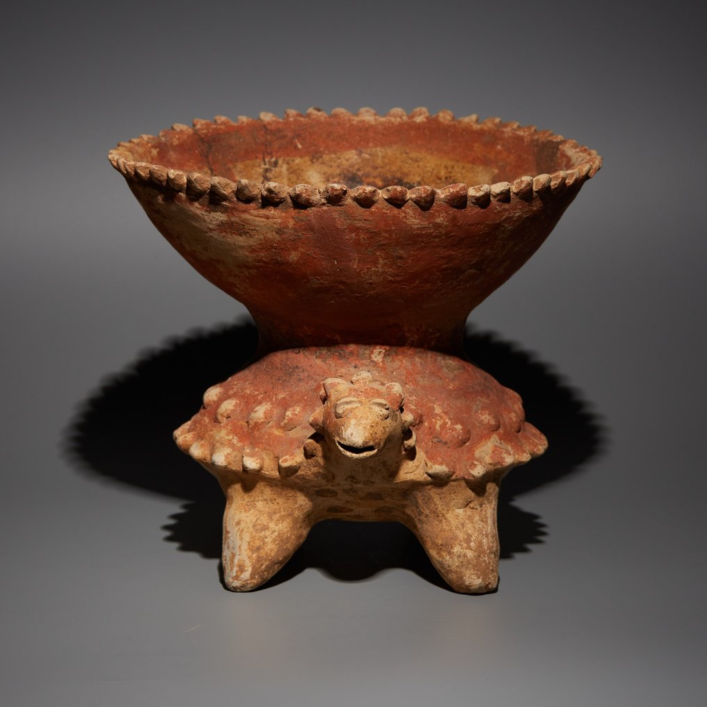 墨西哥西部哈利斯科州 Terracotta 帶有龜形底座的容器。西元前 200 年 - 西元 200 年。高度 19 公分。西班牙進口許可證。 #2.1