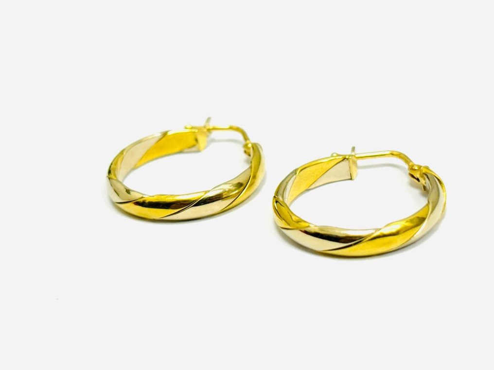 Earrings - 18 kt. White gold, Yellow gold #3.2