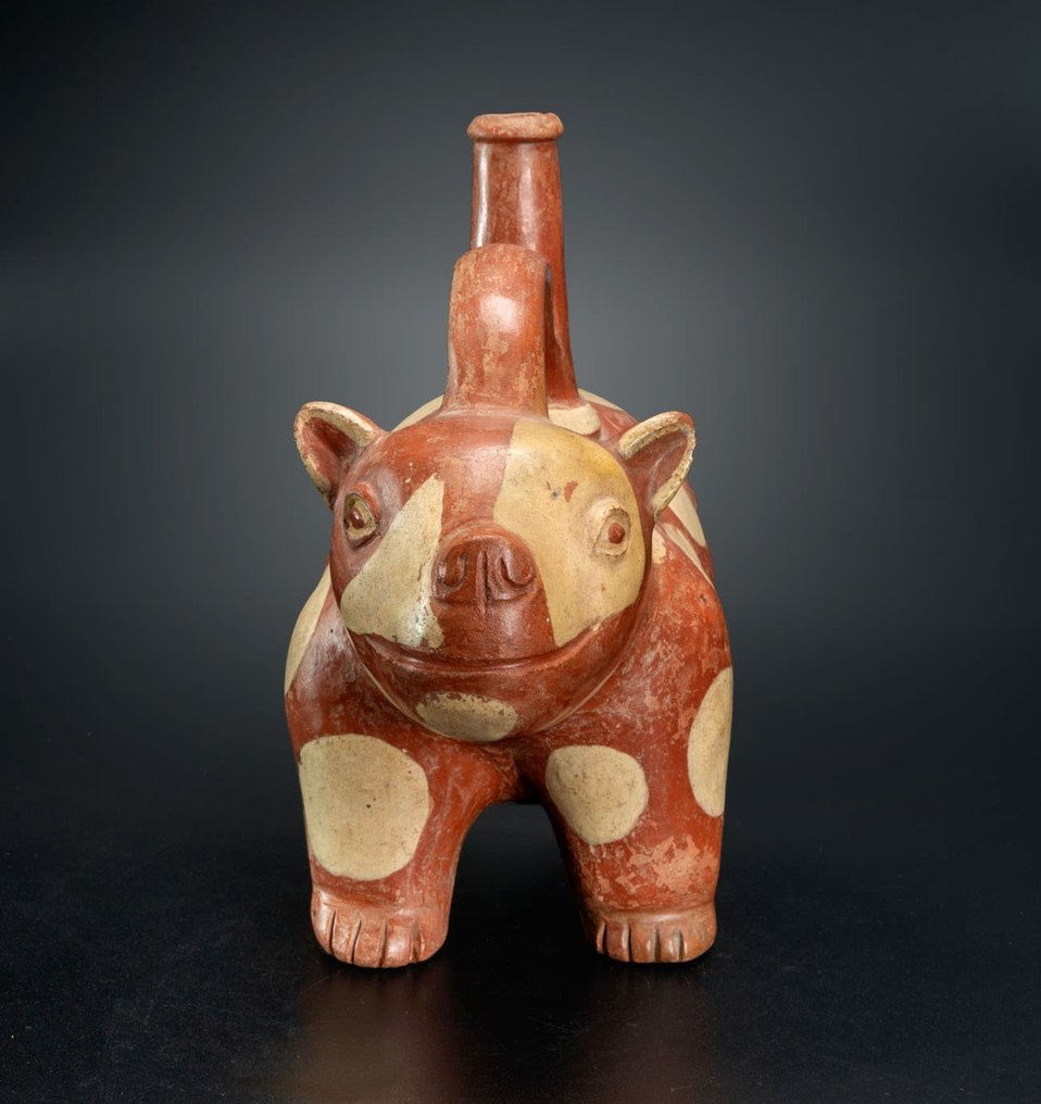 前哥伦布时期。莫切 稀有斑点狗陶瓷容器 拥有西班牙进口许可证。已发布。 #1.2