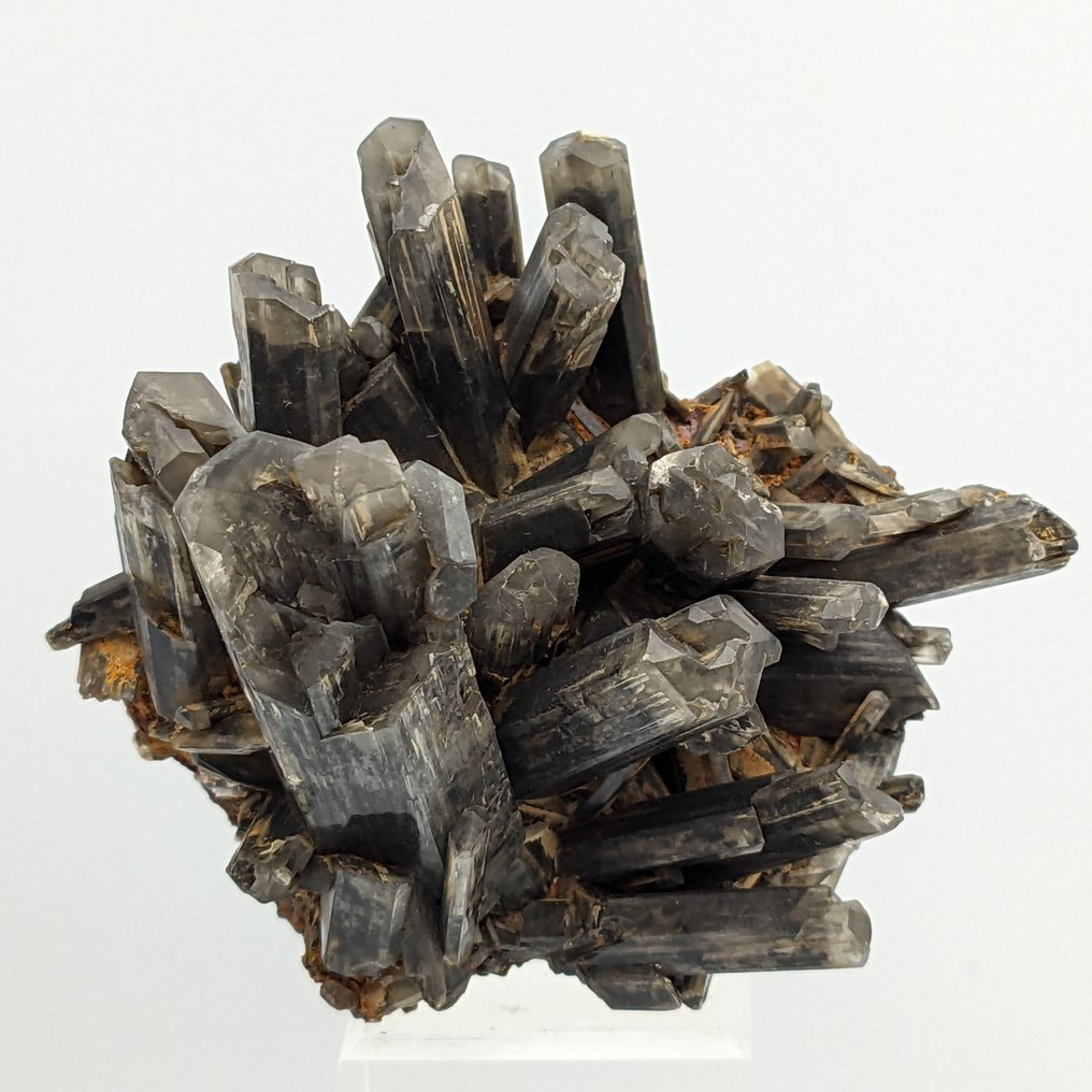 Rare BLACK SELENITE, PIPE PLASTER Crystals - Height: 105 mm - Width: 83 mm- 210.12 g #2.1