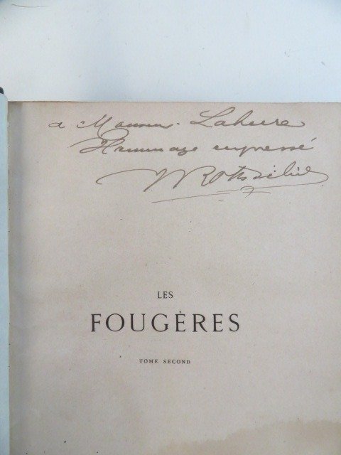 Rothschild, Rivière, André, Roze - Les fougères. Choix des espèces les plus remarquables. (156 chromolithographies). Signé - 1867-1868 #1.2