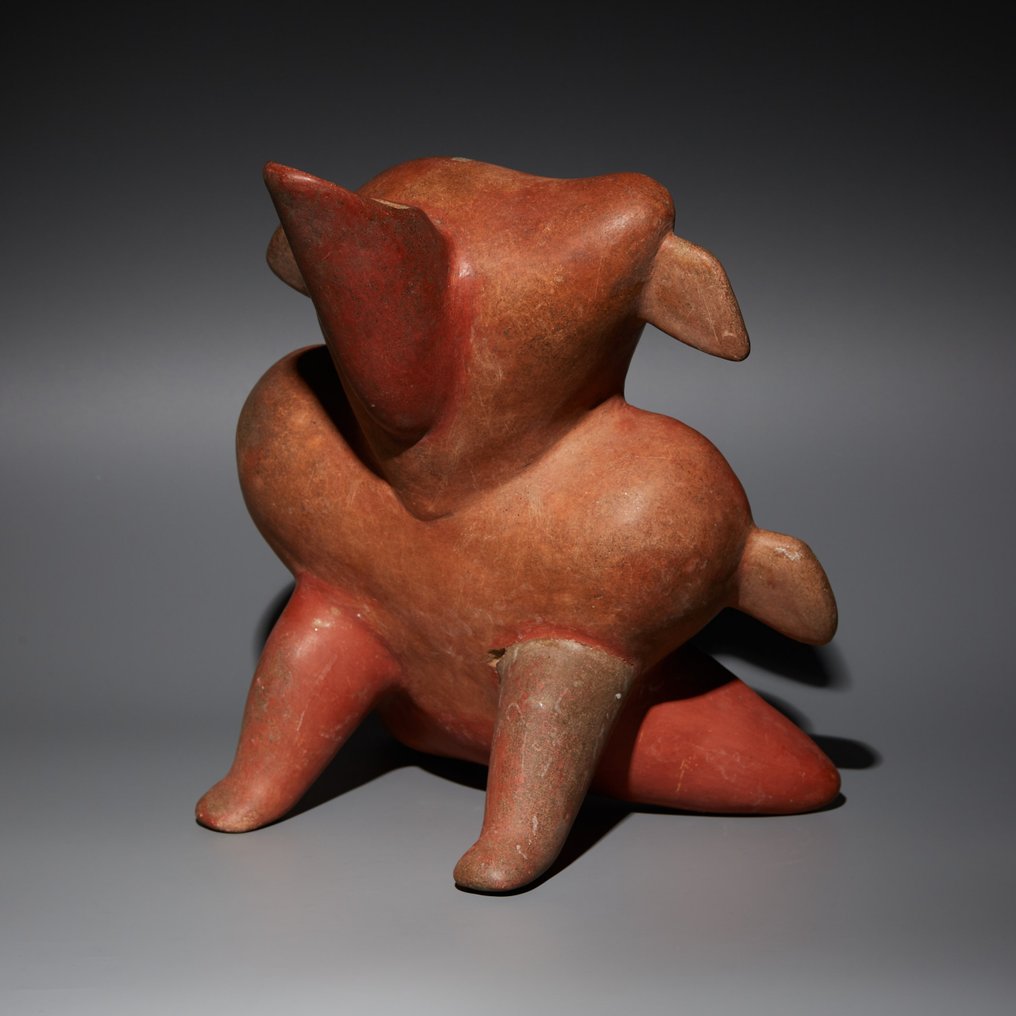 Jalisco, Western Mexico Terracotta Canid-shaped lounger. 600 AD. 28 cm H. TL Test and Spanish Import License. #1.1