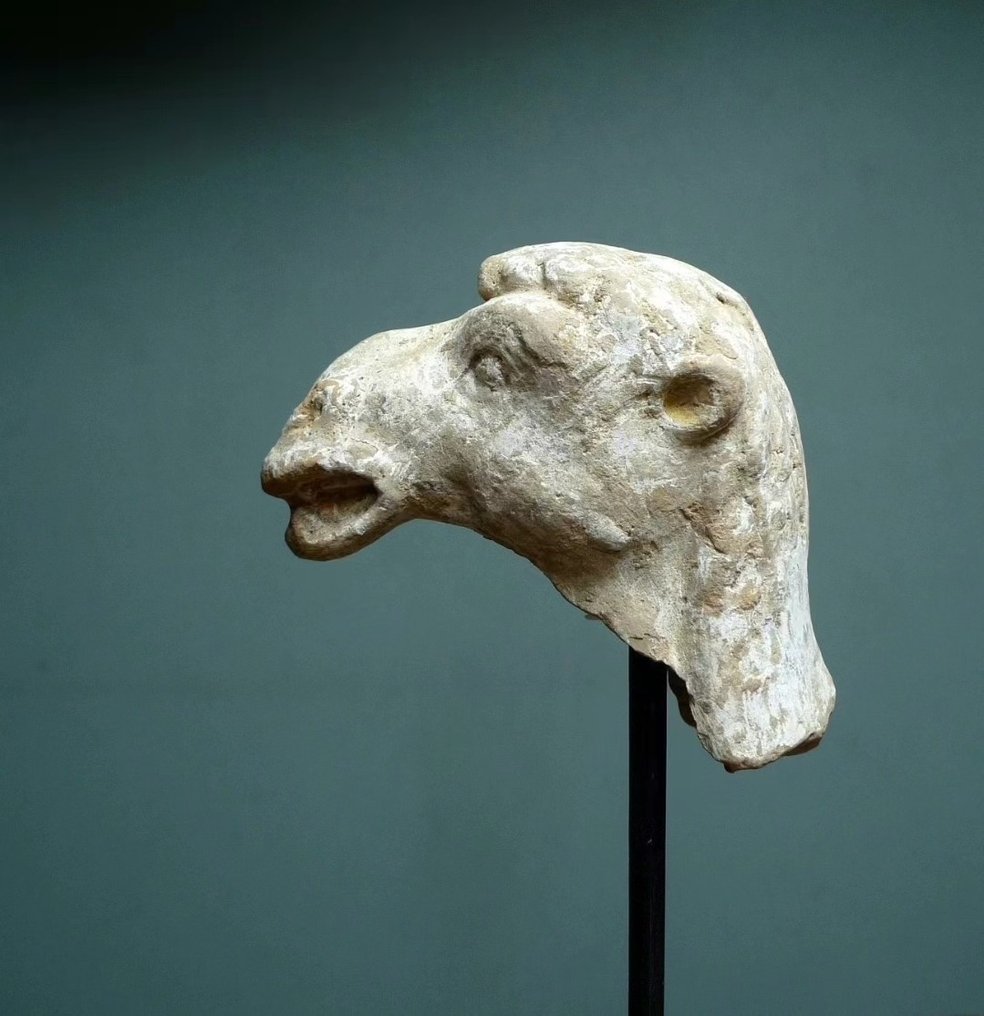 White pottery camel head - 8 cm #1.1