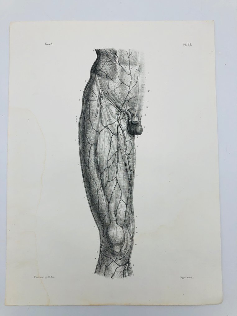 Materiais didáticos (3) - Nicolas-Henri Jacob & Jean Baptiste Marc Bourgery - traité d'anatomie de l'homme 1881 - Papel - 1850-1900 #1.2