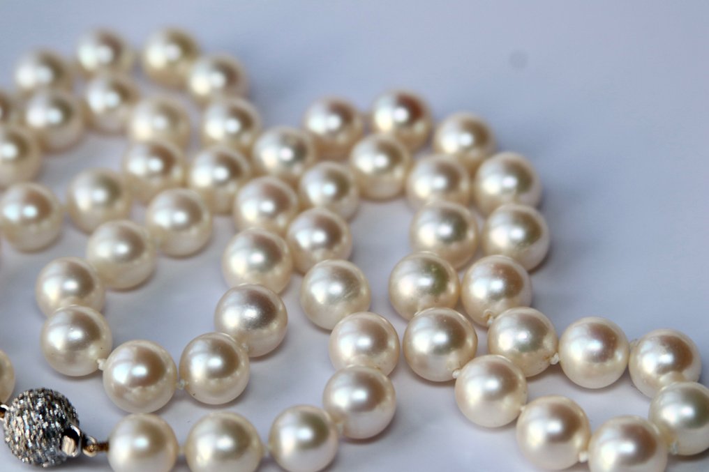 J. Köhle, Pforzheim Japanese sea/saltwater "AAA"  Akoya pearls 9.5mm - Colier - 14 ct. Aur alb -  1.20 tw. Diamant #3.2