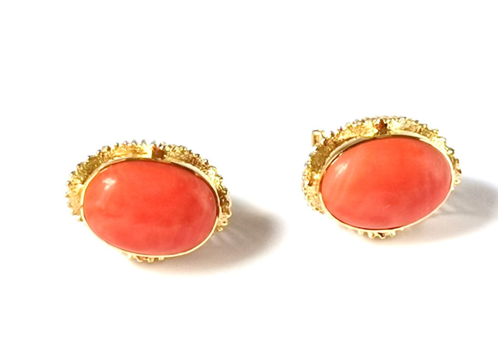 Earrings - 18 kt. Yellow gold Blood Coral #1.1